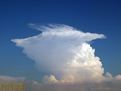 Bangkok - 22 January 2012 - 15:52