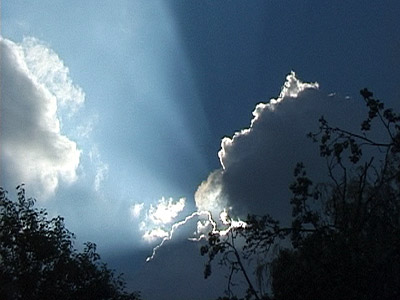Licht